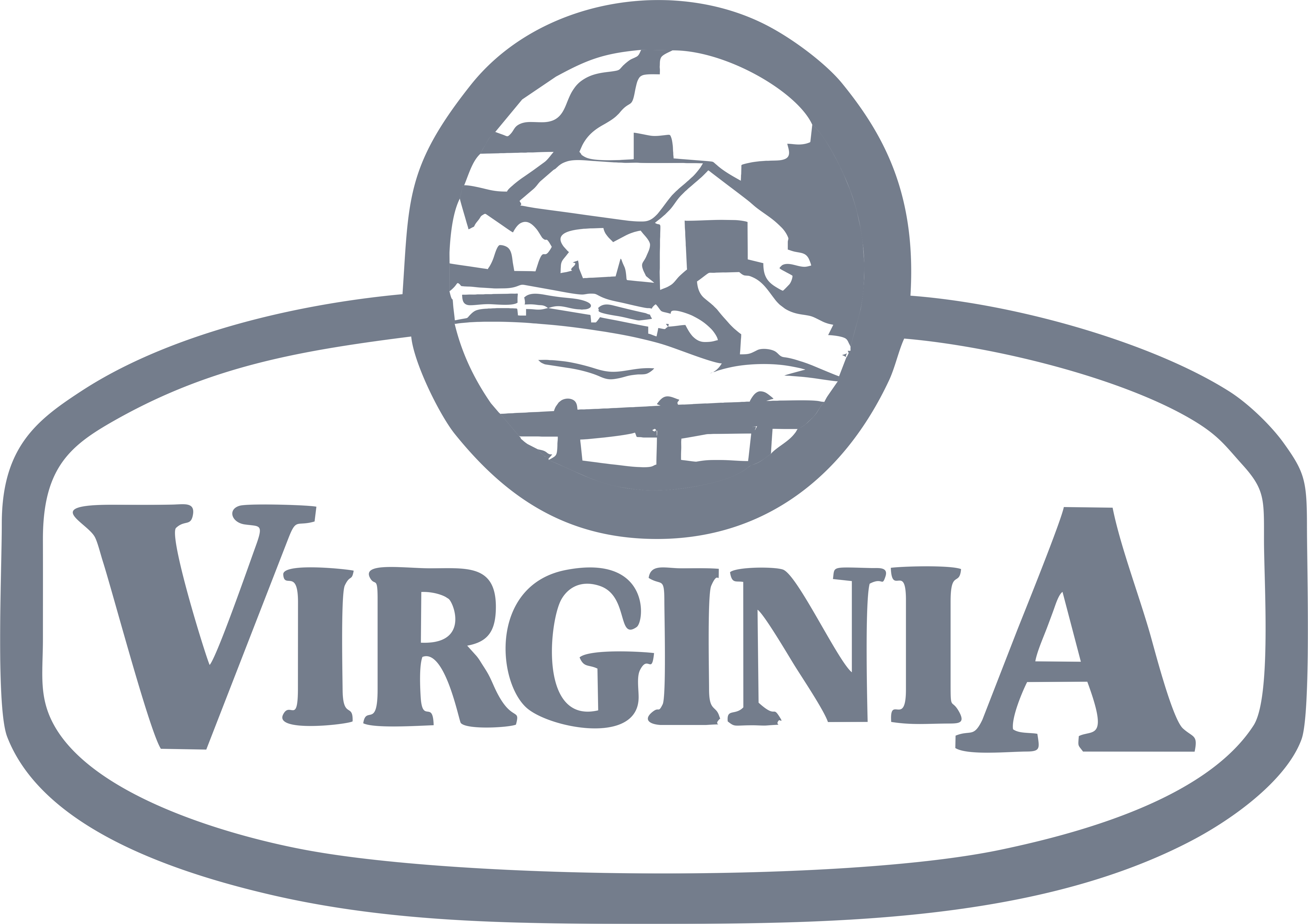 Virginia Logo